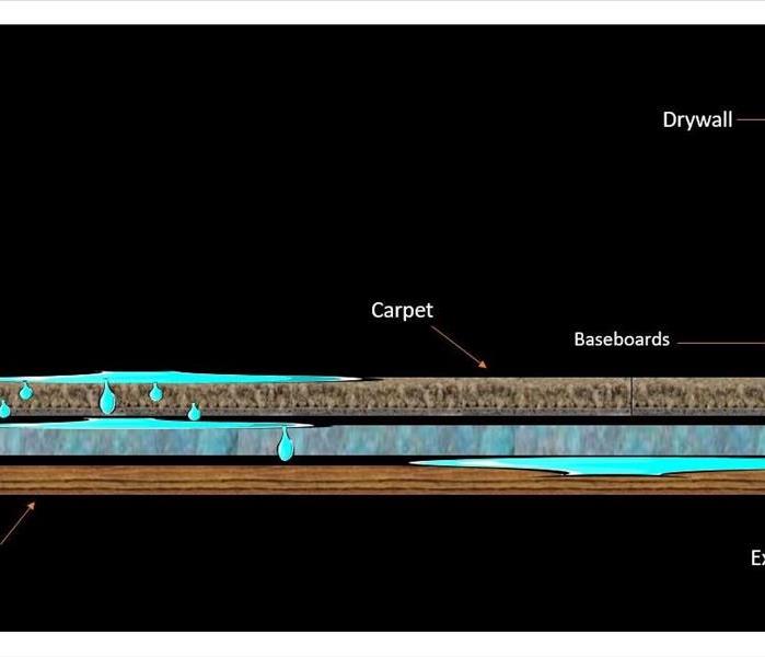 Understanding Water Damage